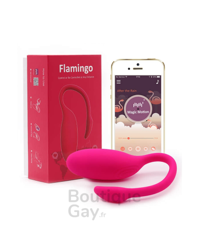 Oeuf Vibrant Télécommandé Flamingo - Plaisir Discret & Intense
