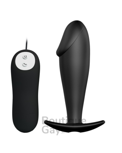 Plug Vibrant Penz 12 Fonctions | Stimulation Anale Intense