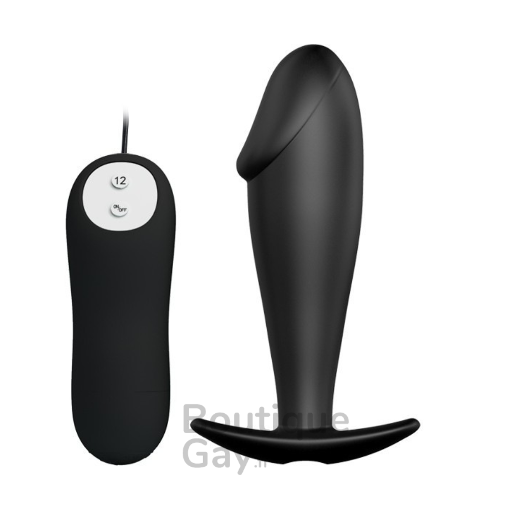 Plug Vibrant Penz 12 Fonctions | Stimulation Anale Intense