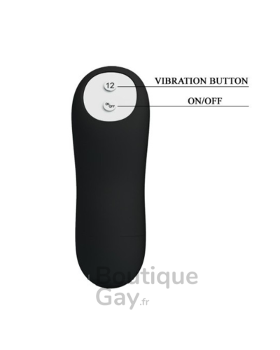Plug Vibrant Penz 12 Fonctions | Stimulation Anale Intense