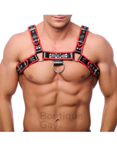 Harnais Cuir Premium Rouge : Lingerie Homme et Accessoire